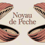 Gros plan noyau de peche ouvert avec amande