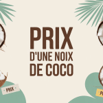 prix d une noix de coco entieres ouvertes etiquettes tropical